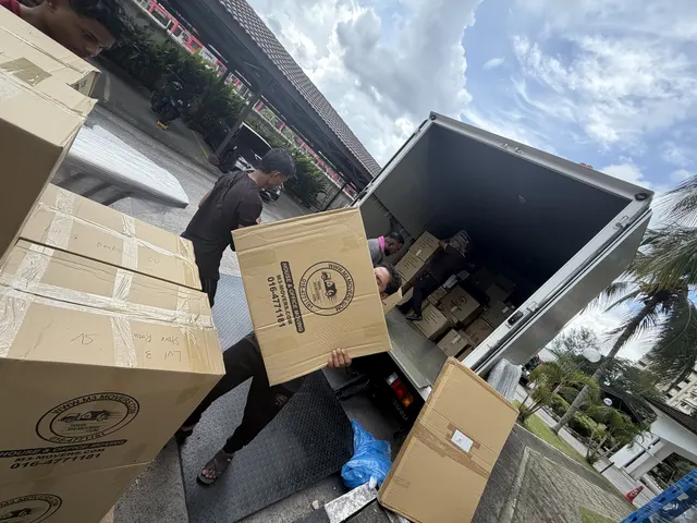 Crew loading M3 Movers branded boxes into the lorry