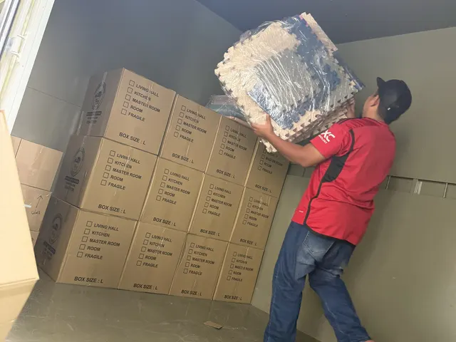 Mover stacking boxes inside the lorry